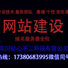 外贸网站建设价格 外贸网站建设公司 图片 视频